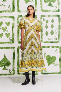 Sari